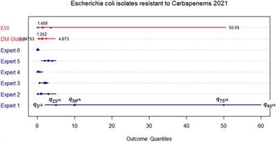 Risk Assessment of Future Antibiotic Resistance—Eliciting and Modelling Probabilistic Dependencies Between Multivariate Uncertainties of Bug-Drug Combinations